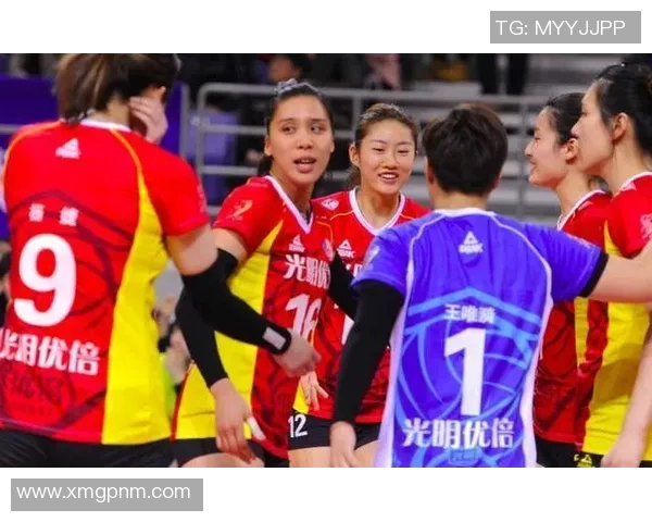 重庆排球队团队协作引发热议球迷对战术配合和默契度的不同看法